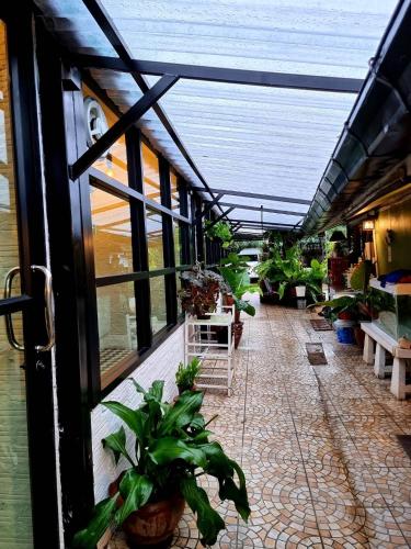 a greenhouse filled with potted plants in a building at The One House in Nan