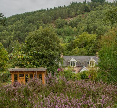 a house in the middle of a field of flowers at Westward Bed and Breakfast in Cannich
