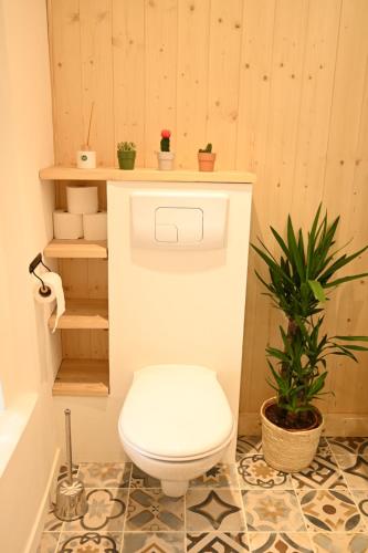 La salle de bains est pourvue de toilettes et d'une plante. dans l'établissement Le Moutardier : chaleureux T2 au coeur de ville, à Dijon