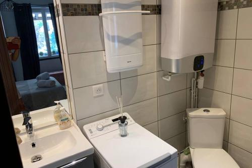 une petite salle de bain avec un lavabo et des toilettes dans l'établissement LE CENTRE VILLE AU CALME, à Albertville