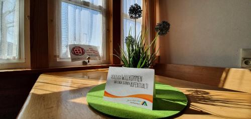 a plant on a table with a sign on a plate at Jugendherberge Fehmarn in Fehmarn