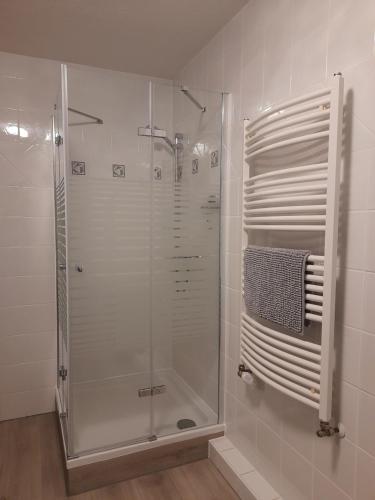a shower in a bathroom with a glass shower stall at schöne Ferienwohnung am Rande der Altstadt in Lutherstadt Wittenberg