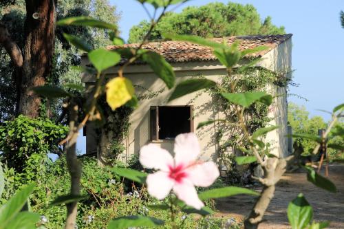a small house with a window and a white flower at Case di Berto in Capo Vaticano