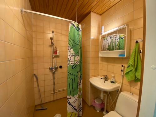 Kylpyhuone majoituspaikassa Värikäs puutalokaksio 1-6 hlölle, ilm parkit
