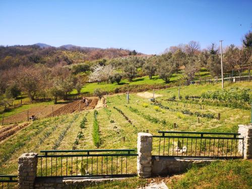 Photo de la galerie de l'établissement Agriturismo Olimpo, à Villa Santa Maria