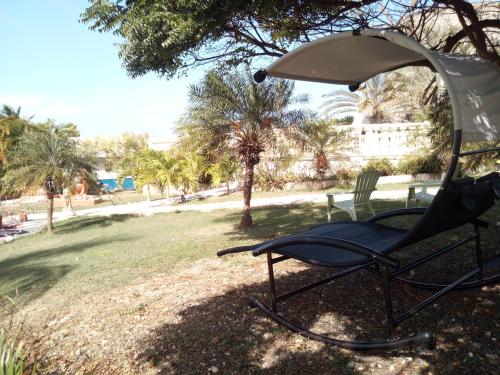 Κήπος έξω από το LE MOULIN DE LA BAIE piscine vue mer