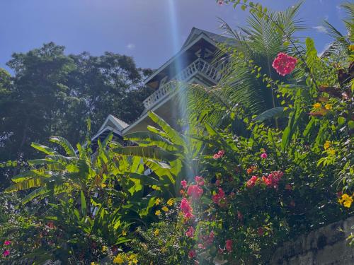 a house surrounded by plants and flowers at Mouggae Blues Villas in Beau Vallon
