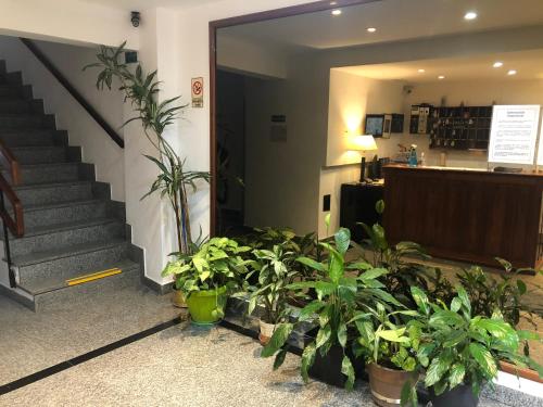 ブエノスアイレスにあるHotel San Carlosの鉢植えの植物と階段が並ぶロビー