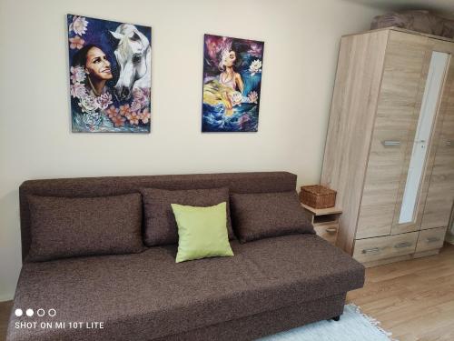 un sofá en una sala de estar con 2 pinturas en la pared en Napsugár Nyaraló, en Tiszaalpár
