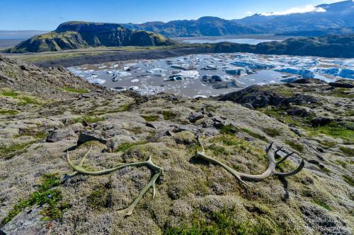 an aerial view of antlers on a rocky mountain at Höfn Hostel in Höfn