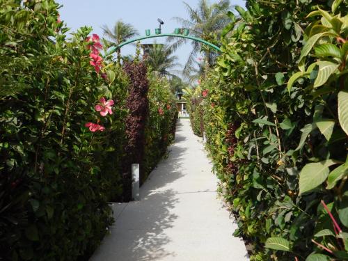 a path through a garden with pink flowers at CAP BAY in Cap Skirring