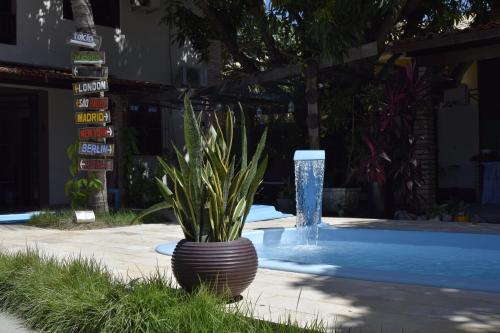 a plant in a pot next to a swimming pool at Pousada Flor D' Açucena in Natal