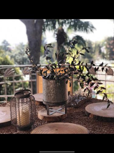 a potted plant in a vase on a table at Il Pioppo Antico in Viggiù