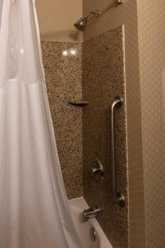 a shower in a bathroom with a tub and a shower curtain at The Azure Hotel in Mesa