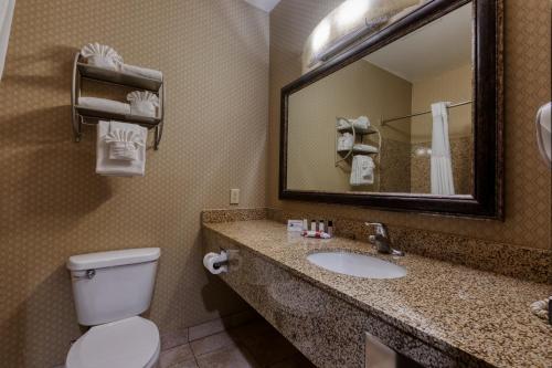 a bathroom with a toilet and a sink and a mirror at The Azure Hotel in Mesa