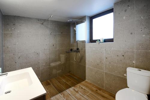 a bathroom with a shower and a toilet and a sink at Maison 25 in Houffalize