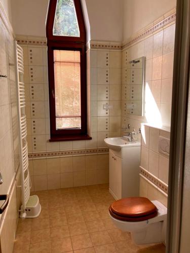 a bathroom with a toilet and a sink and a window at Historická vila Dom hostí in Podbrezová