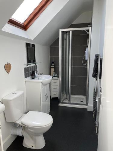 een badkamer met een toilet, een wastafel en een douche bij Skerry View - Overlooking the Moray Firth - close to Beaches, Harbour, Shops and Restaurants in Lossiemouth