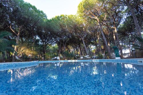 una piscina blu con alberi sullo sfondo di Camping Village Il Sole a Marina di Grosseto