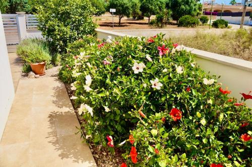 a garden with red and white flowers next to a wall at Villa Isla Bonita in Sa Ràpita