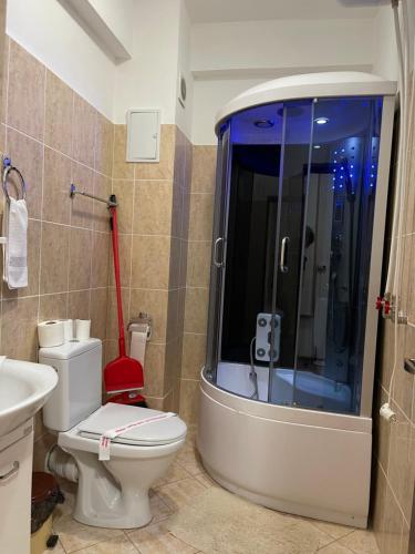 Ένα μπάνιο στο Olanesti Apartament