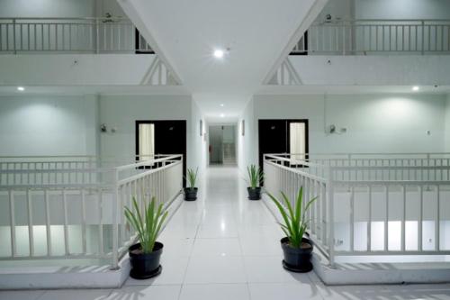 un couloir avec des plantes en pot dans un bâtiment dans l'établissement D'Paragon Bukit Sari, à Semarang