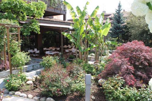 a garden with flowers and plants in front of a building at Camere Da Kico in Assago