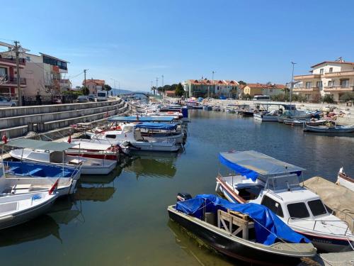 Φυσικό τοπίο κοντά σε αυτό το ξενοδοχείο