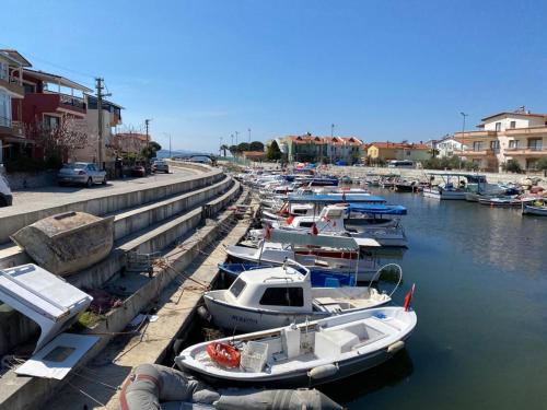 Φυσικό τοπίο κοντά σε αυτό το ξενοδοχείο