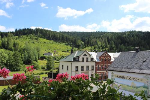a town in the mountains with flowers in the foreground at Landhotel Gasthof Zwota in Klingenthal