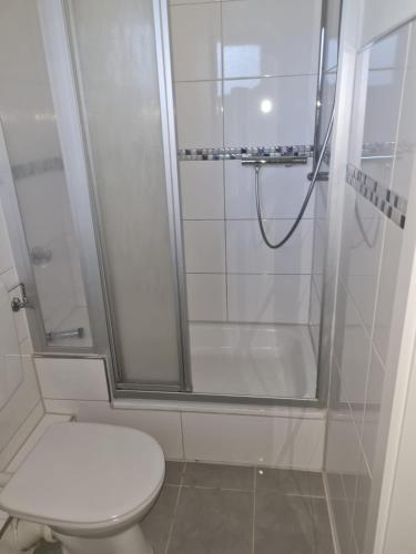 a white bathroom with a shower and a toilet at Wohnen im Grünen 1 in Heiligenstedten