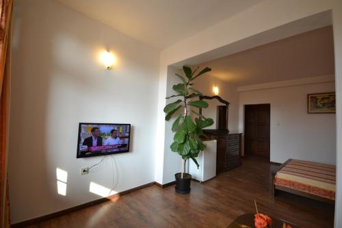 a living room with a plant and a tv on a wall at More Family Hotel in Sozopol