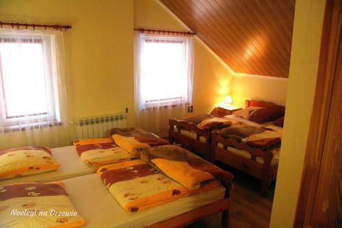 a room with four beds and two windows at Noclegi na Drzewie in Cisna