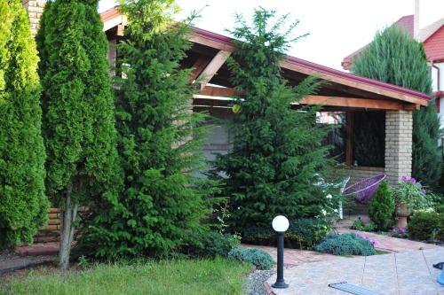 a house with two evergreen trees in the yard at Villa Costa in Sanzhiyka