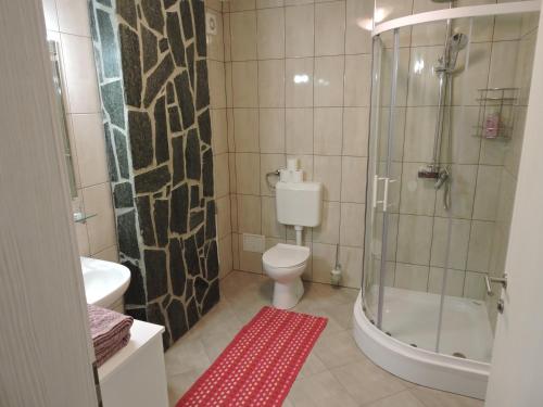 Kylpyhuone majoituspaikassa Gostilna PIK