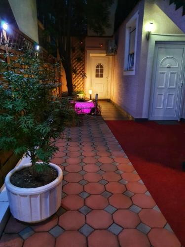 a brick walkway with a potted tree in front of a house at Glamour Wellness Apartments in Zagreb