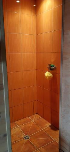 a bathroom with a shower with a yellow sponge in it at "Lībieši" in Purmsāti