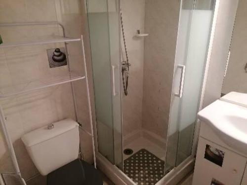 La petite salle de bains est pourvue d'une douche et de toilettes. dans l'établissement Appartement avec vue superbe sur le port, à Saint-Cyprien