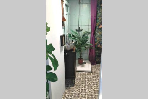 a hallway with plants and a tile floor at La musa del Poeta in Quesada