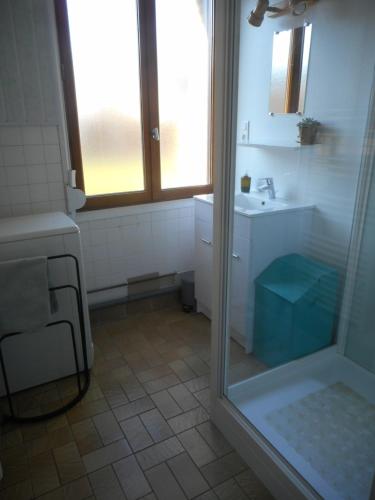 ein Bad mit einer Dusche und einem Waschbecken in der Unterkunft Gite La Bicyclette in Godewaersvelde