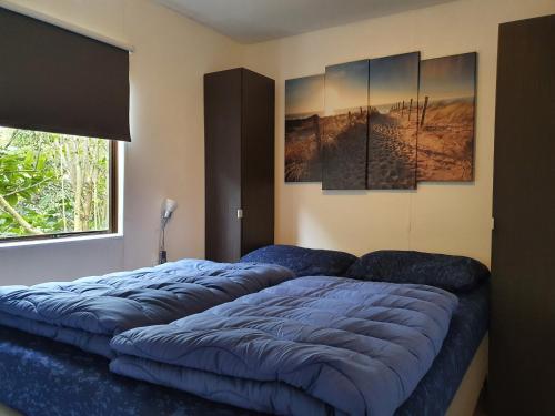 1 Schlafzimmer mit 3 blauen Betten und einem Fenster in der Unterkunft Beach Resort Kamperland - 118 in Kamperland