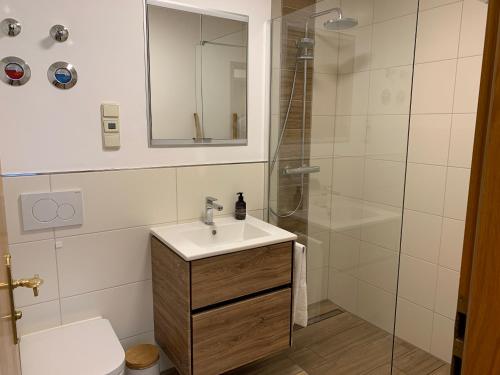un baño con lavabo y ducha en Ferienwohnung Theresa, en Prien am Chiemsee