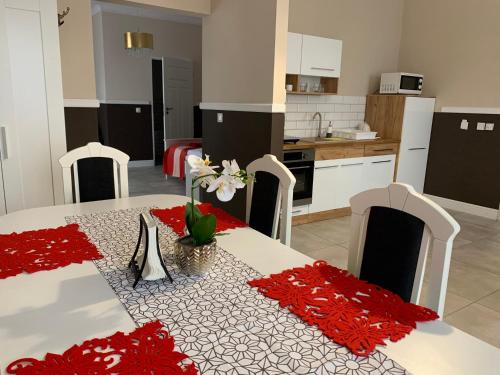 Dapur atau dapur kecil di Willa Konopnicka