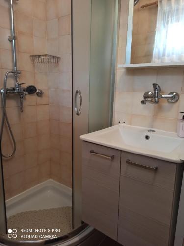 y baño con lavabo y ducha. en Vila Pajo en Varaždinske Toplice