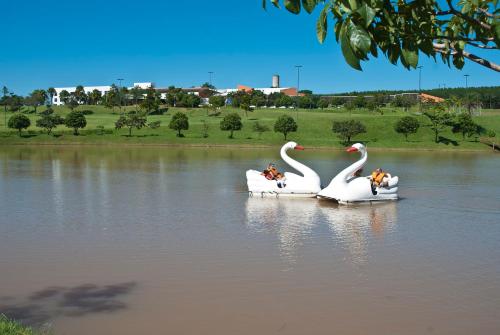 two swans are sitting in the middle of a lake at Blue Tree Thermas de Lins Resort in Lins