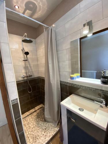 a bathroom with a shower and a sink at Chambre de la Poterie in Accolay
