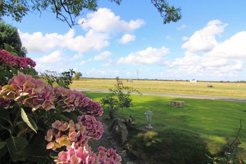 a view of a field from a yard with flowers at Pesel im Friesenhaus Sieben-Linden ebenerdig in Archsum