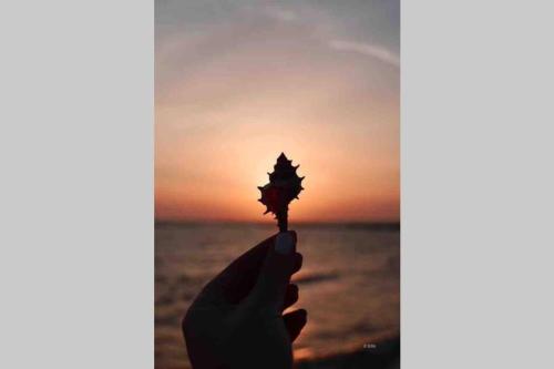 Relaxing chalet family only