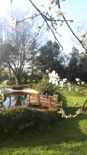 a park with a bench and a pond and trees at Chambres d'hôtes La Frise in Corpe