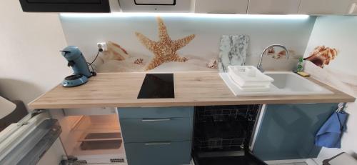 uma cozinha com um balcão com um lavatório e uma estrela-do-mar em jujuceline83 em Fréjus